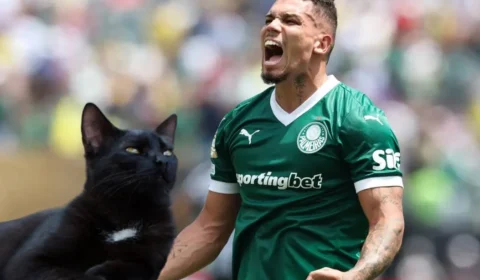 Gato Vidente Aposta na vitória do Palmeiras contra o Flamengo na Libertadores.