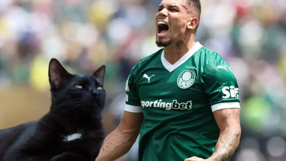 Gato Vidente Aposta na vitória do Palmeiras contra o Flamengo na Libertadores.