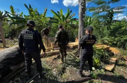VÍDEO: PF deflagra Operação Lage em Chamas e intensifica ações contra grilagem e ataques em área indígena