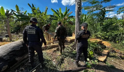 VÍDEO: PF deflagra Operação Lage em Chamas e intensifica ações contra grilagem e ataques em área indígena