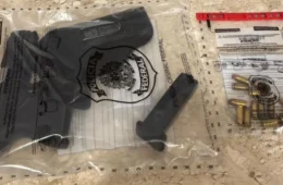 Operação Madeira Mamoré: PF e PM prendem homem em flagrante por porte ilegal de arma na BR-364