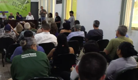VÍDEO: Incra e gestão municipal avançam na regularização fundiária da capital e dos distritos