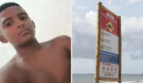 Tamanho da mordida revela espécie de tubarão em ataque fatal em Olinda; saiba qual