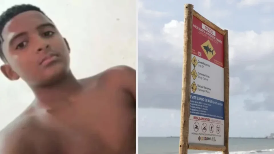 Tamanho da mordida revela espécie de tubarão em ataque fatal em Olinda; saiba qual