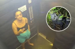 Caso Daiane: a cronologia da morte da corretora que chocou o Brasil