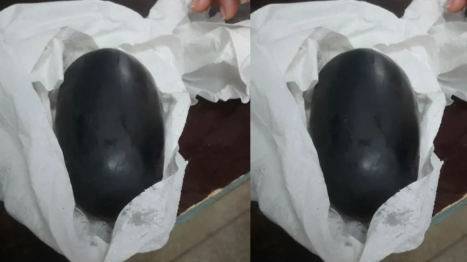 Jovem é presa ao tentar entrar com drogas em presídio de Porto Velho