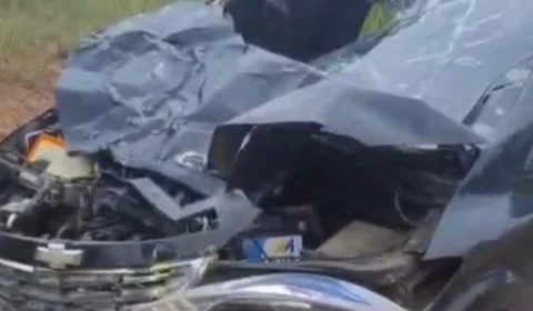 Prisma fica destruído após atropelar vaca na BR-319