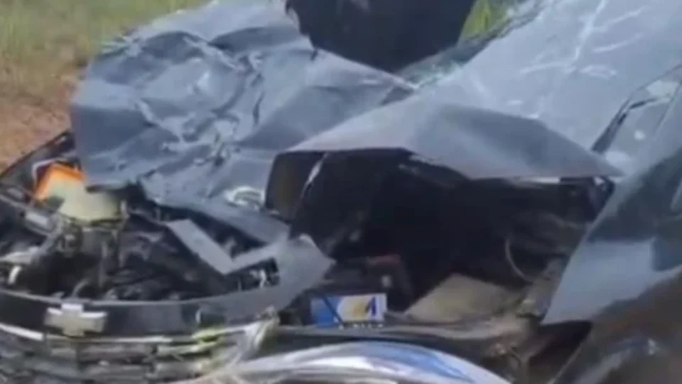 Prisma fica destruído após atropelar vaca na BR-319