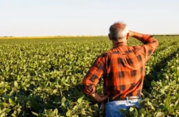 Nova lei de licenciamento ambiental passa a valer em fevereiro e exige adequação de produtores rurais