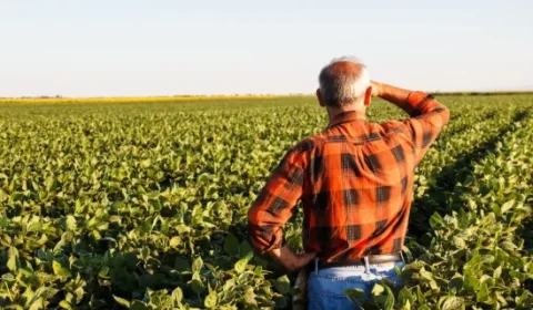 Nova lei de licenciamento ambiental passa a valer em fevereiro e exige adequação de produtores rurais