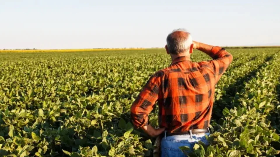 Nova lei de licenciamento ambiental passa a valer em fevereiro e exige adequação de produtores rurais