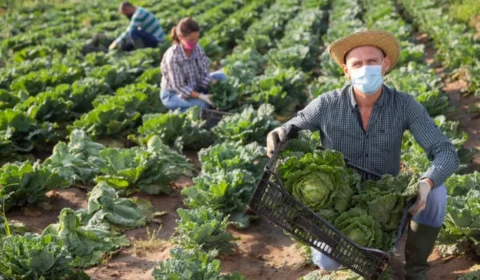 Receita Federal intensifica fiscalização sobre arrendamentos rurais e prazo para correção termina em 31 de janeiro