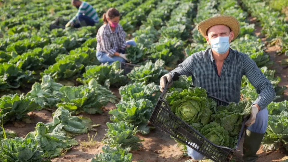 Receita Federal intensifica fiscalização sobre arrendamentos rurais e prazo para correção termina em 31 de janeiro