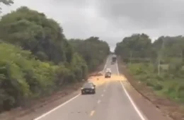 Carreta graneleira tomba na BR-364 entre Vilhena e Pimenta Bueno