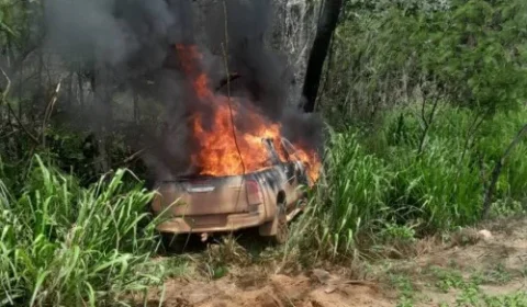 Picape sai da pista, atinge árvore e é destruída por incêndio na BR-364, em Vilhena