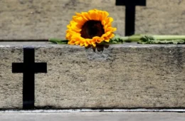 Brasil registra recorde de feminicídios em 2025 e tem média de quatro mulheres mortas por dia