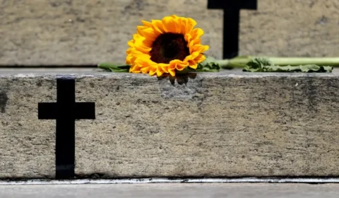 Brasil registra recorde de feminicídios em 2025 e tem média de quatro mulheres mortas por dia