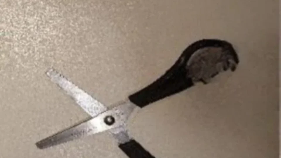 Apenado é preso após cortar cabelo e agredir a esposa na zona Sul de Porto Velho