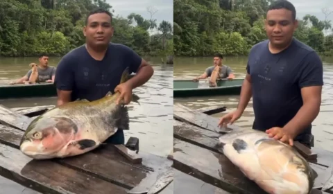 Tambaqui reforça identidade cultural e ambiental da Amazônia