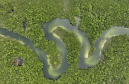 Governo revoga decreto de hidrovias na Amazônia após pressão de indígenas