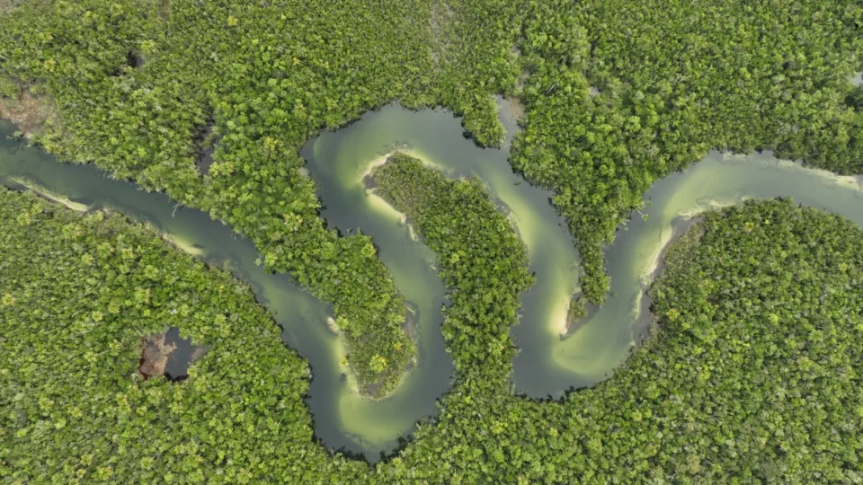 Governo revoga decreto de hidrovias na Amazônia após pressão de indígenas