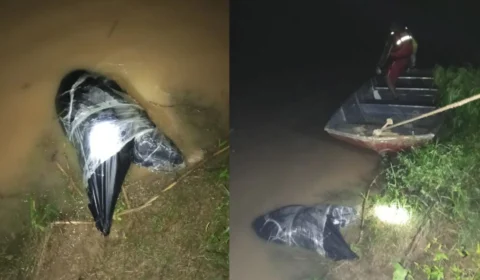 Bombeiros resgatam corpo encontrado no Rio Acre na capital