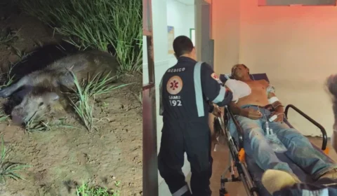 Motociclista fica gravemente ferido após colidir com capivara