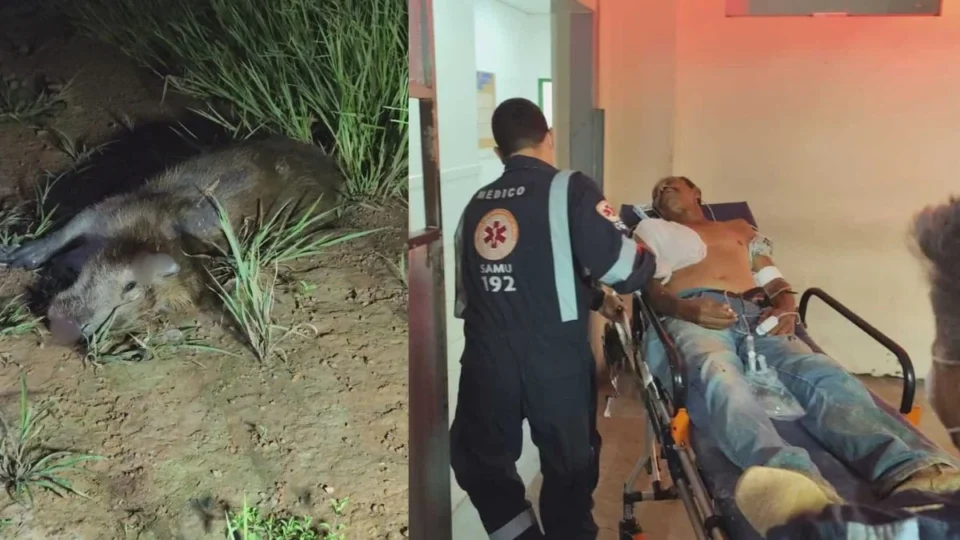 Motociclista fica gravemente ferido após colidir com capivara