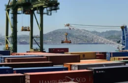 Capacitação no Agronegócio: guia para pequenos produtores exportarem