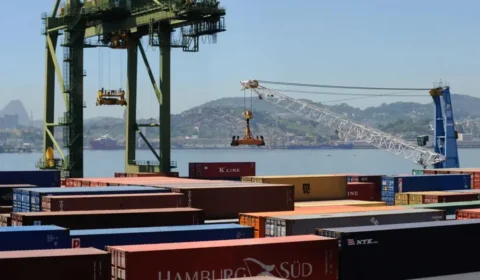 Agro brasileiro registra US$ 10,8 bilhões em exportações em janeiro