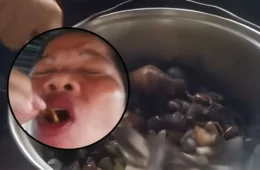 Influenciadora morre após comer ‘caranguejo-do-diabo’ durante vídeo; veja