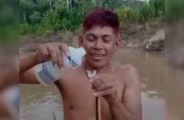 Indígena dá álcool, beija e mata cobra a mordidas; veja o vídeo