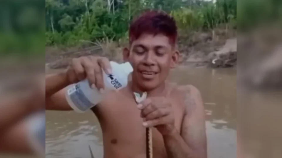 Indígena dá álcool, beija e mata cobra a mordidas; veja o vídeo