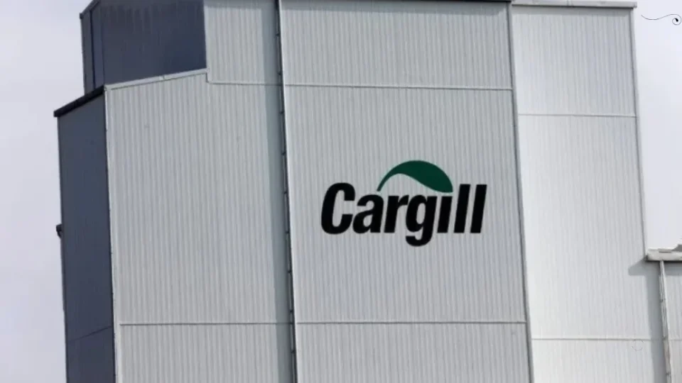 Indígenas ocupam terminal da Cargill em Santarém (PA) e protestam contra decreto de Lula