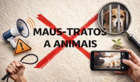 Decreto inspirado no caso Orelha prevê punições mais severas; veja detalhes