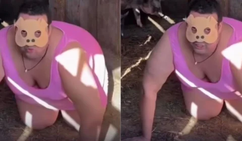 Homem que se identifica como porco viraliza no TikTok e reacende debate sobre “therians”
