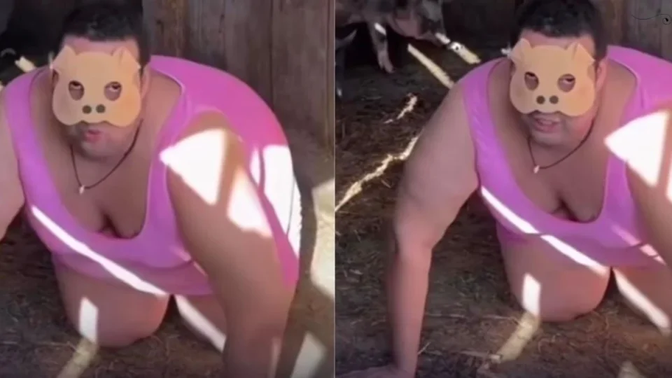 Homem que se identifica como porco viraliza no TikTok e reacende debate sobre “therians”