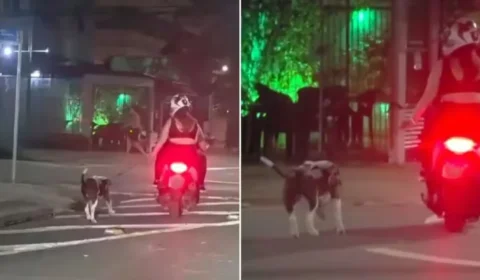 Vídeo chocante mostra casal arrastando cachorro preso à coleira durante trajeto de moto