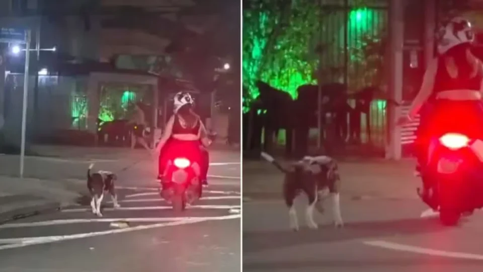 Vídeo chocante mostra casal arrastando cachorro preso à coleira durante trajeto de moto