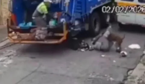 VÍDEO: pitbull escapa de casa e ataca coletores de lixo em São Paulo