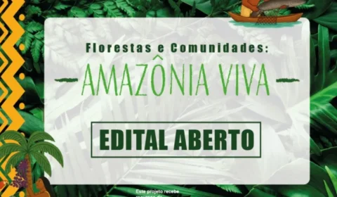 Projeto “Florestas e Comunidades: Amazônia Viva” vai investir R$ 96 milhões em organizações produtivas da região