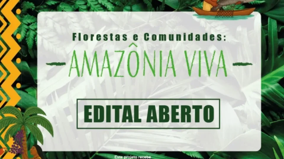 Projeto “Florestas e Comunidades: Amazônia Viva” vai investir R$ 96 milhões em organizações produtivas da região