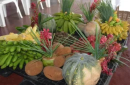 Rondônia publica chamada pública do PAA para compra de alimentos da agricultura familiar