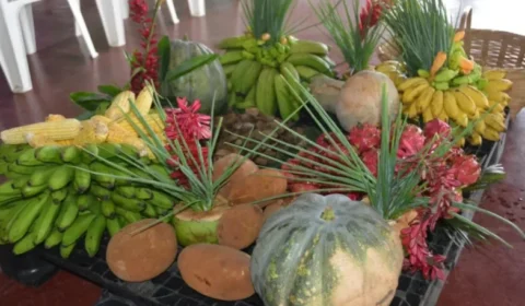 Rondônia publica chamada pública do PAA para compra de alimentos da agricultura familiar