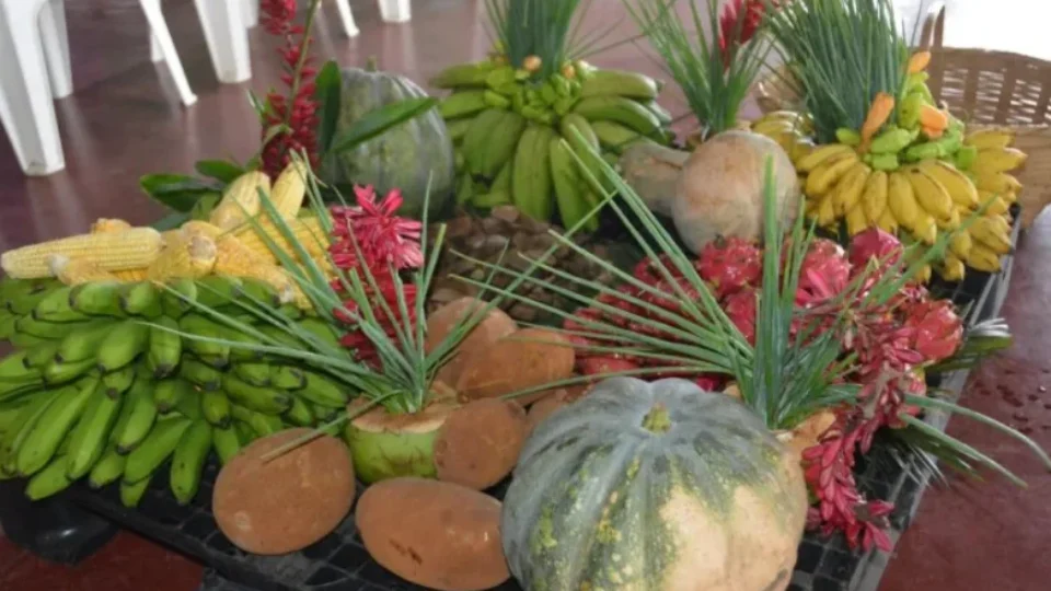 Rondônia publica chamada pública do PAA para compra de alimentos da agricultura familiar