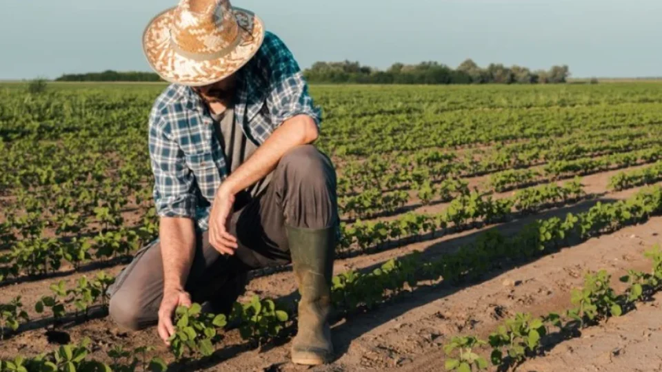 Agronegócio brasileiro alcança 28,58 milhões de trabalhadores no 3º trimestre de 2025