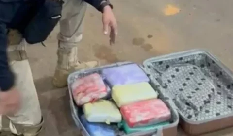 PRF apreende cerca de 11 kg de skunk em ônibus na BR-364, em Vilhena