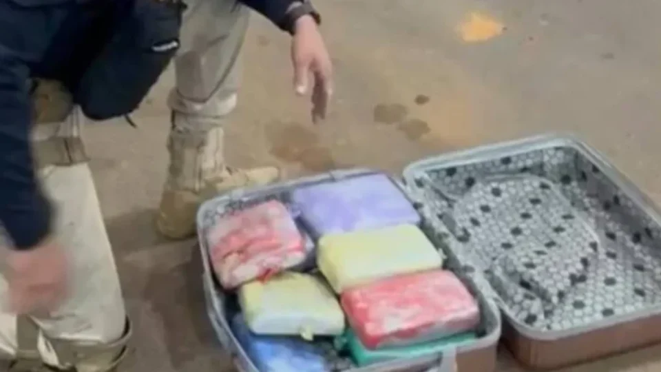 PRF apreende cerca de 11 kg de skunk em ônibus na BR-364, em Vilhena