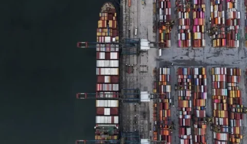 Brasil conquista novo mercado no Equador para insumos da nutrição animal