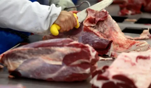 Exportações de carne bovina ampliam relações comerciais além da China